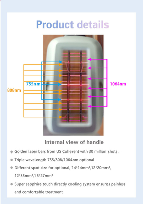 808nm-810nm मल्टीफंक्शनल ब्यूटी मशीन स्थिर शैली ROHS TGA अनुमोदित
